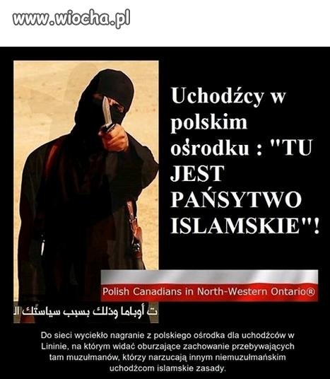 Won z kraju jak wam się nie podoba.