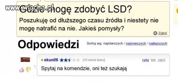 Szukasz narkotyków?