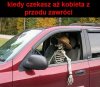 Kiedy czekasz