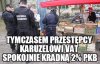 To już wiemy na co kontroli skarbowej broń
