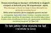 Dylematy księży