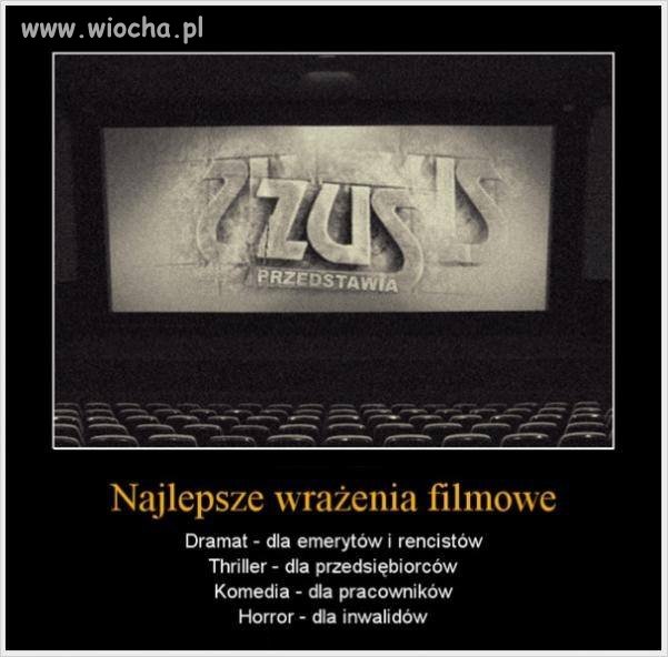 Zus dostarcza wielu wrażeń