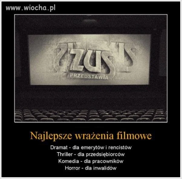 Zus dostarcza wielu wrażeń