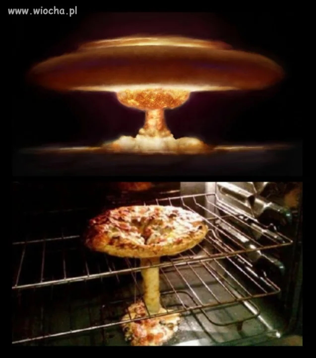 Pizza Funghi