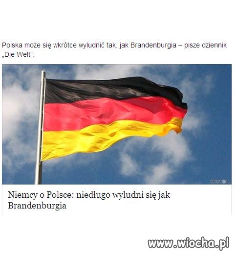 Wiocha dla całego rządu PO i Kopacz.