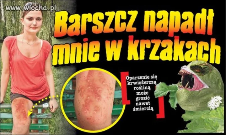Trzeba patrzeć gdzie się stawia klocka.
