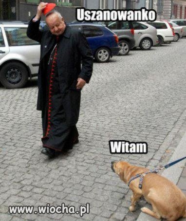Witam