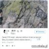 Kibole Śląska Wrocław dewastowali Tatry...
