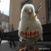 Dron Terrorysta