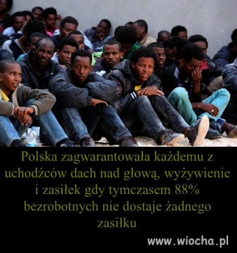 Stop dyskryminacji Polaków 