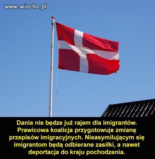 Brawo Dania