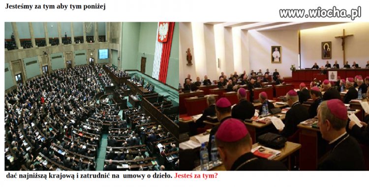 Ani jedni ani drudzy nic nie wnoszą, za to garściami wynoszą