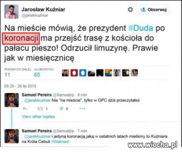 Kuźniar król cebuli
