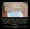 Wiocha dla tych co sprzedają