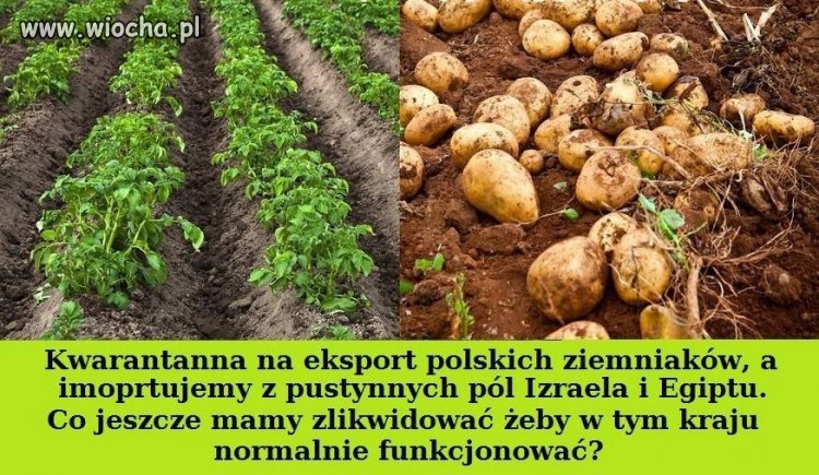 Jeszcze rok temu byliśmy