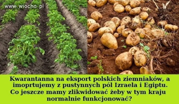 Jeszcze rok temu byliśmy