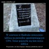Doskonała tablica