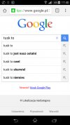 Wujek Google 