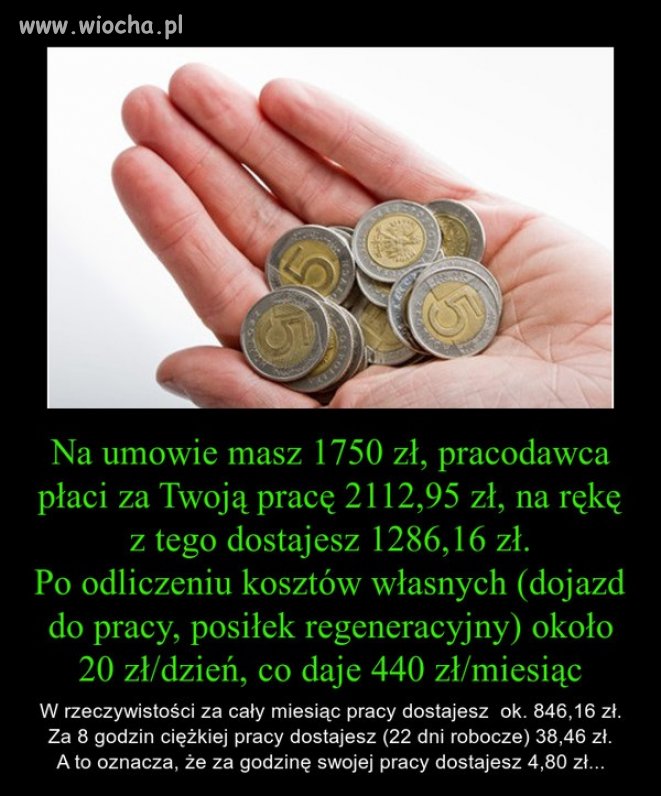 Polska to dziwny kraj