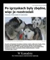 Nie zabił bym bogu ducha winnego psa.