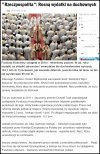 Jak to jest? całe życie nie pracują