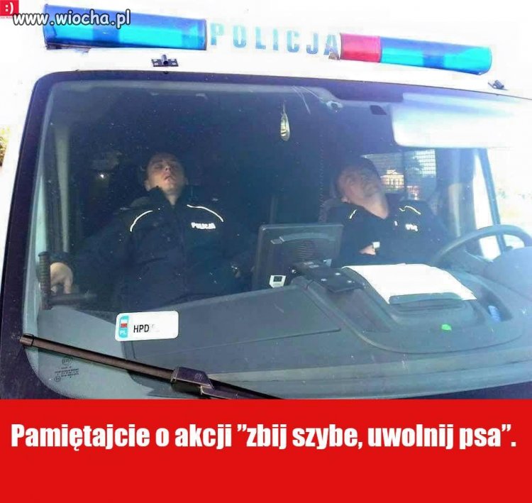 Pamiętaj aby pomóc!