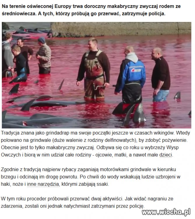 Cywilizowana Europa XXI wieku