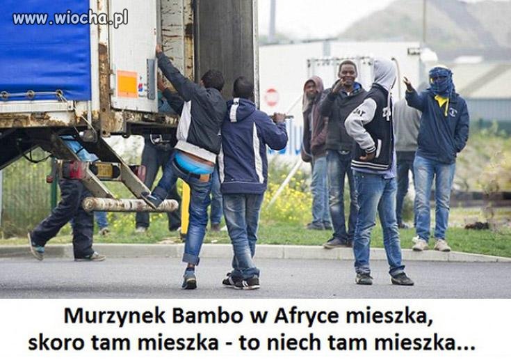 Mój punkt widzenia.