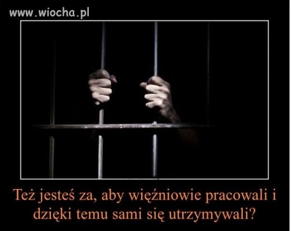 Jeden z największych absurdów...