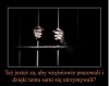 Jeden z największych absurdów...