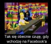 Obecnie na