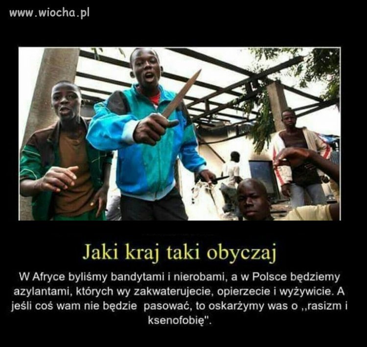 Bo mało mamy własnych złodziei 