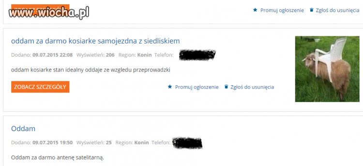 Kosiarka samojezdna 