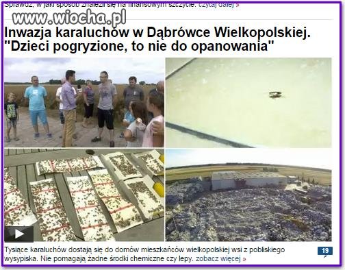 Rozdziobią nas...