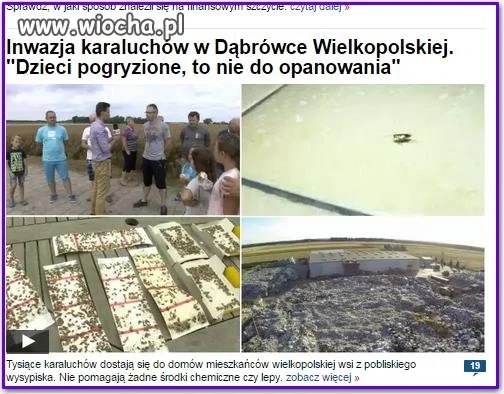 Rozdziobią nas...