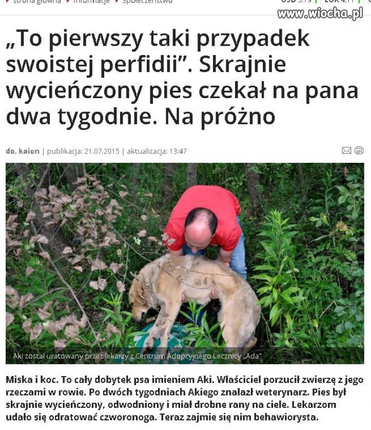 Chciałbym poznać właściciela tego psiaka... 