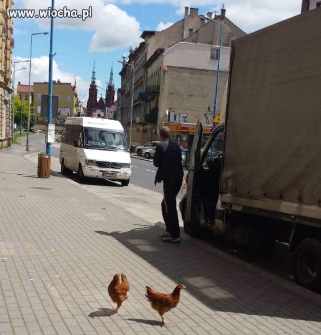 Dzień jak co dzień 