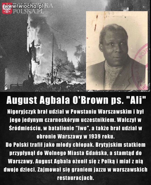Ciekawe Ilu nowych emigrantów z Afryki 