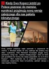 Skutecznie odwraca uwagę 