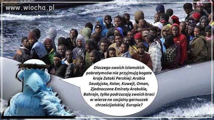 Ciekawe dlaczego ich nie chcą?