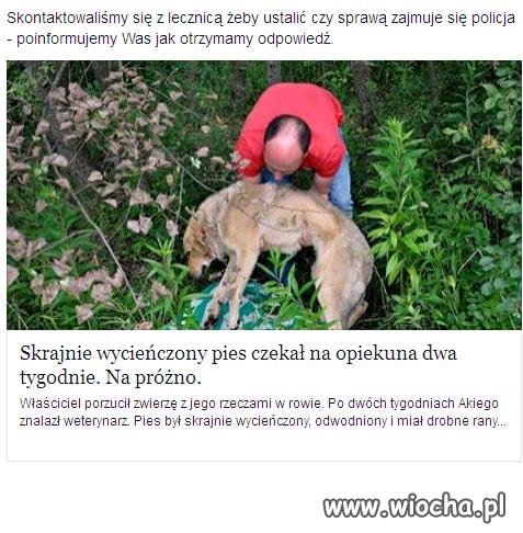Dlaczego kocham bardziej zwierzęta od ludzi?