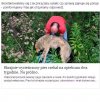 Dlaczego kocham bardziej zwierzęta od ludzi?