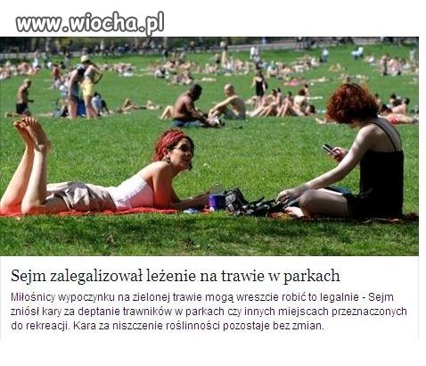 Sejm zalegalizował  leżenie na trawie.