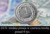 Chyba jenów