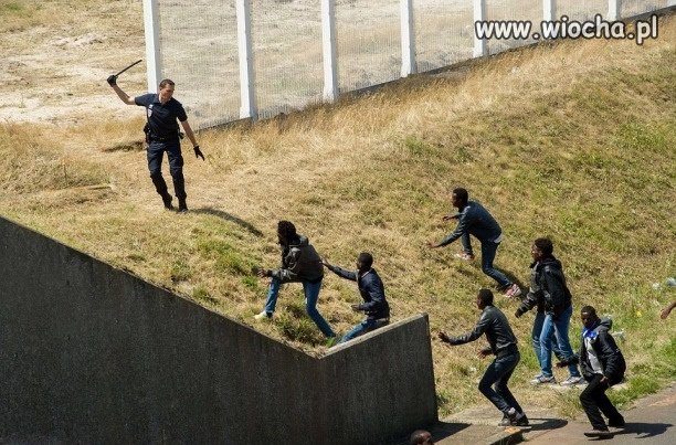 Tymczasem we Francji