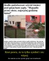 A to jest kur.. skandal