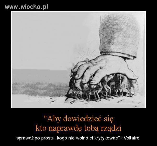 Wszystko w temacie 