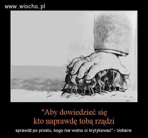 Wszystko w temacie 