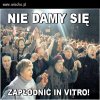 Nie damy się