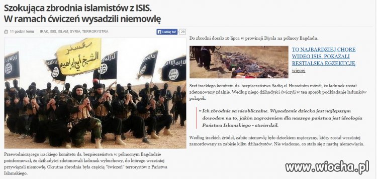 Islamiści, fanatycy zasr*ni 